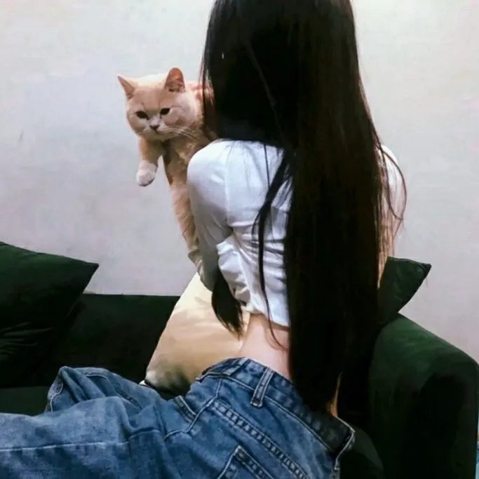 完美先生和差不多小姐